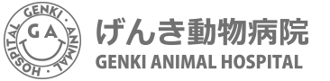 大阪市阿倍野区で動物病院をお探しの方はげんき動物病院まで